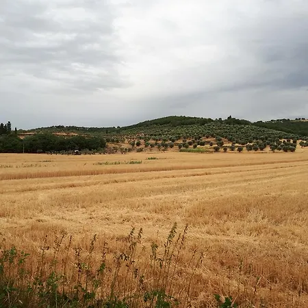 Villaggio Parco Dei Pini Campeggio